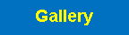  : Gallery#